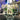 Achievement Christmas 04
