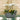 Achievement Christmas 05