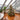 Achievement Christmas 14