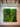 Achievement green walls 06