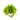 Philodendron Lemon