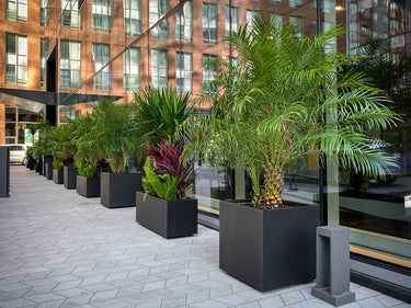 Achievement outdoor 06