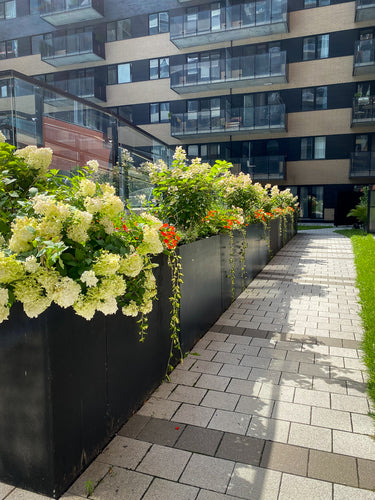 Achievement outdoor 04