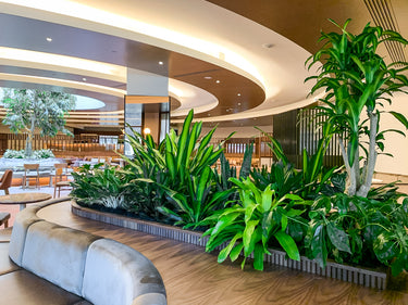 Achievement interior 08