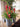Achievement floral design 03