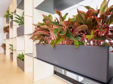 Achievement interior 03