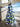 Achievement Christmas 12