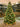 Achievement Christmas 17