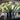Achievement floral design 07