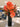 Achievement floral design 13