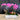 Réalisation design floral 12