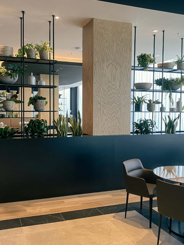 décoration plantes vertes pour restaurant