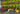 Achievement green walls 08