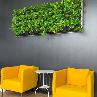 Achievement green walls 11