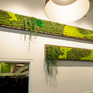 Achievement green walls 15