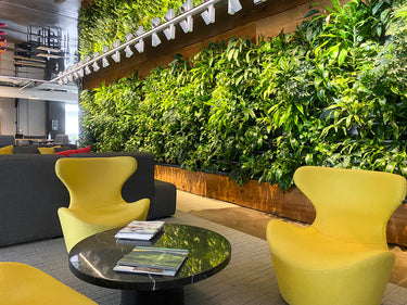 Achievement green walls 08