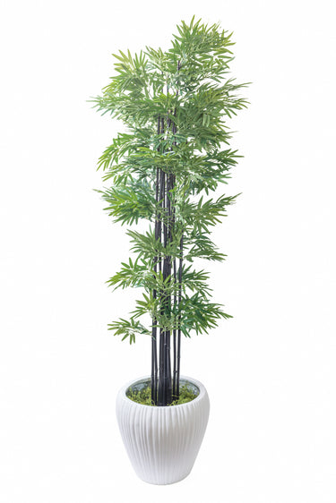 Artificiel - Bambou Japonica