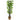 Artificial - Japonica Bamboo
