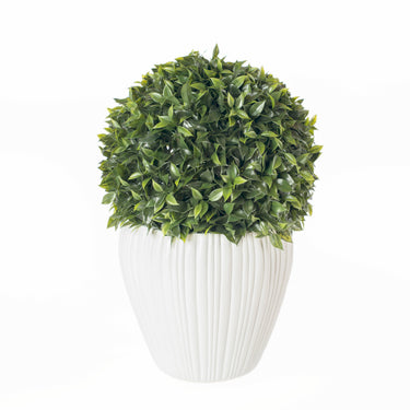 Artificial - Ficus globe