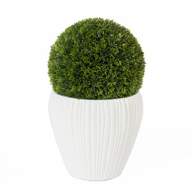 Artificiel - Podocarpus boule