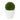 Artificiel - Podocarpus boule