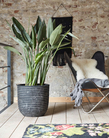 Capi Nature - Rond Row