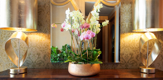 design floral orchidée pour lobby résidence