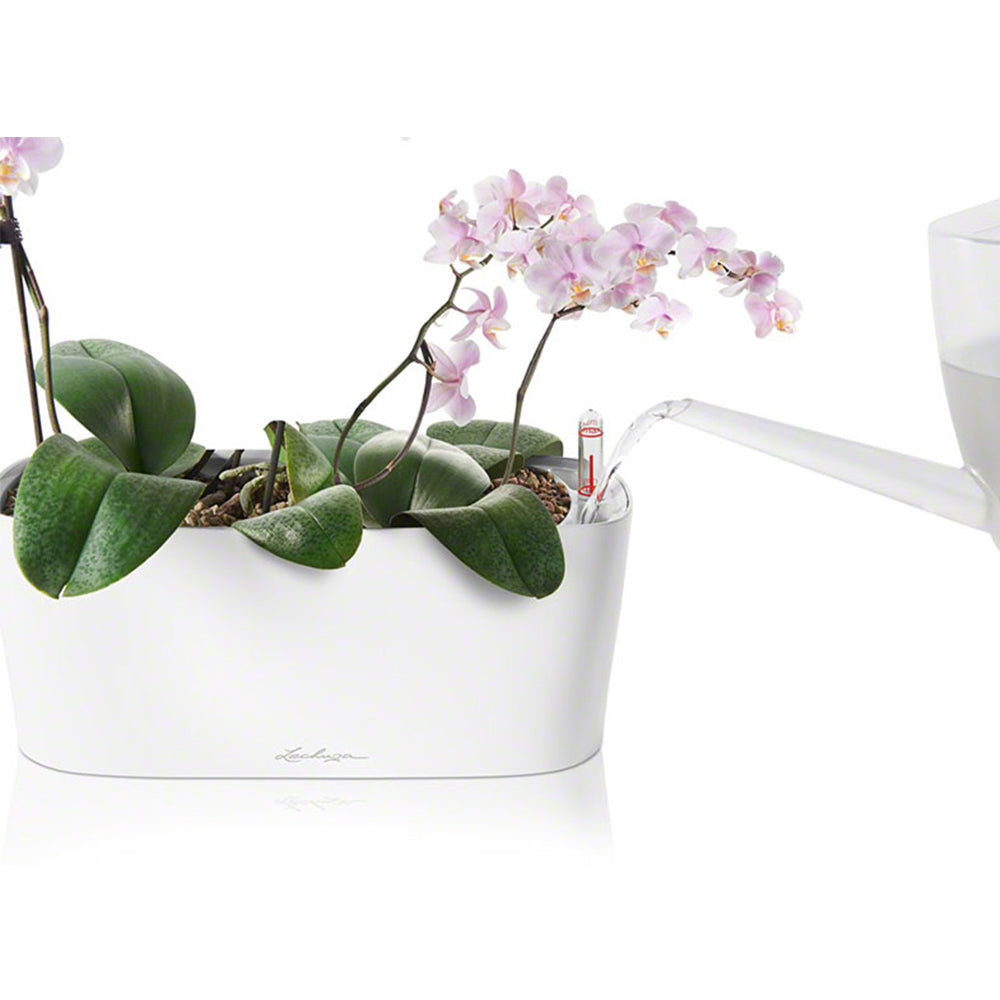 lechuza delta self watering indoor planter Plant pots - Lechuza - Delta