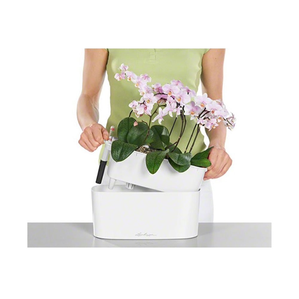 lechuza delta self watering indoor planter Plant pots - Lechuza - Delta