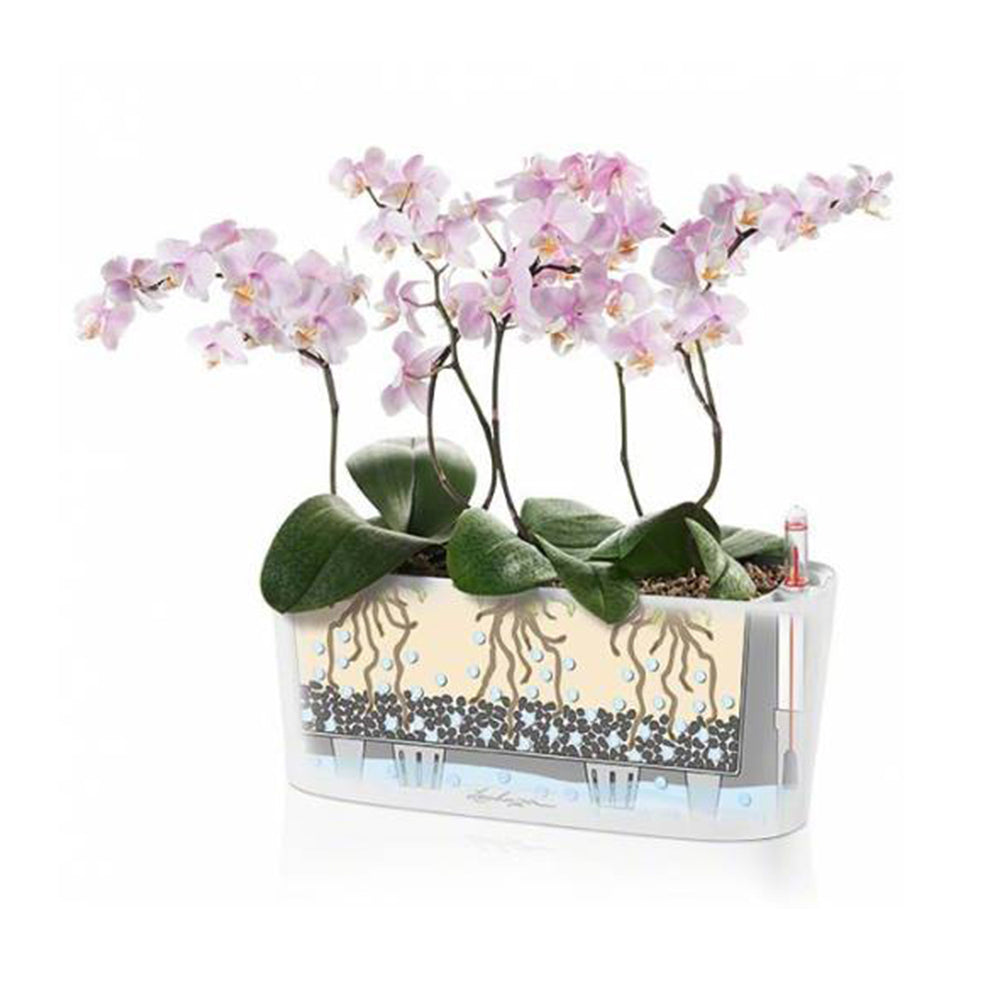 lechuza delta self watering indoor planter Plant pots - Lechuza - Delta