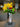 Achievement floral design 01